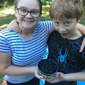 Juicy blackberries!