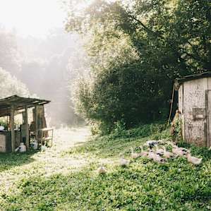 Beautifully lit morning by the drying shed