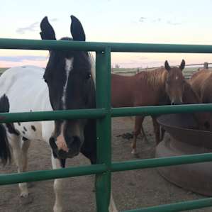 Creekside Horse Ranch Camping