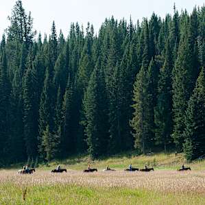 The morning trail ride heads out into the forest