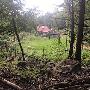 Mackintosh Homestead Experience