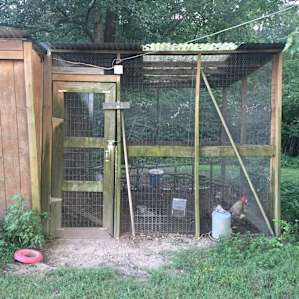 Chicken coup
