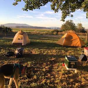 Camp on a working farm of 117 acres