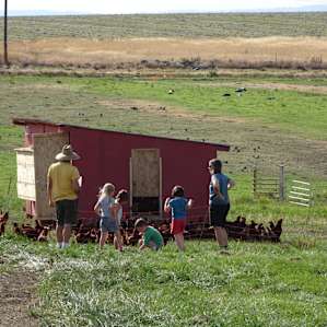 Home Farm Foods Camping