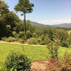 The view from the back yard.