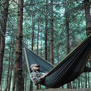 The trees in the forest are the perfect type for setting up a hammock between.