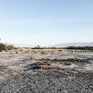 Furnace Creek Campground