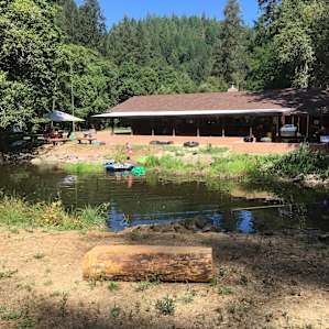The perfect floating pond, with plenty of muck and rocks, little fish and crayfish