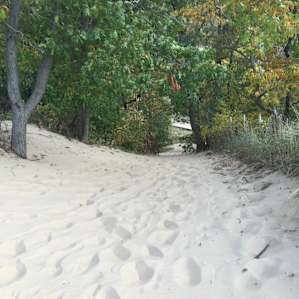 Indiana Dunes Campground Indiana Dunes In 7 Hipcamper