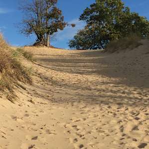 Indiana Dunes Campground Indiana Dunes In 7 Hipcamper