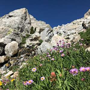 Hiking up The Grand