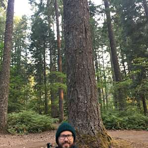 Surrounded in the canopies of giant Douglas Firs