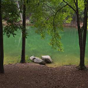 The water is green and beautiful.