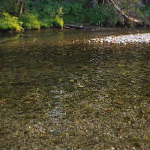 Stopped by this beautiful river just as the sun was getting low in the sky.