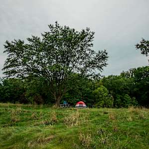 Surrounded by a lot of comfy grass!