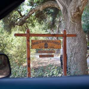 a big sign to welcome you in!