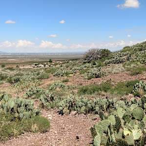 Looking down at the campground from the Thunder Egg Trail.