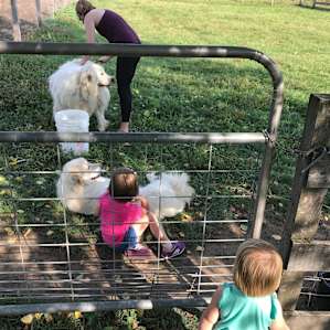 Easy Camping on a Driftless Farm