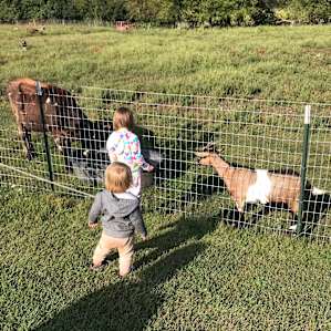 Easy Camping on a Driftless Farm