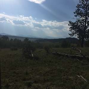 Mountain Views, Room to Roam