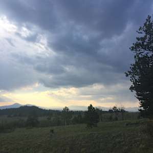 Mountain Views, Room to Roam
