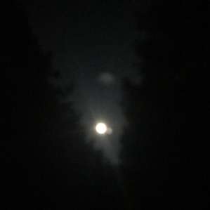 We were there a few nights before the full moon. It was beautiful.