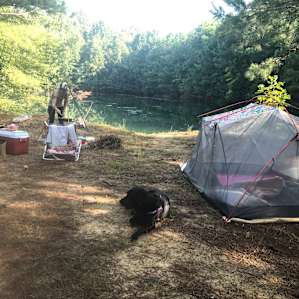 Our site in daylight.