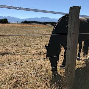 Sequim Prairie Tent Camp