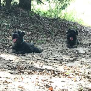 Sandy Ridge Camping