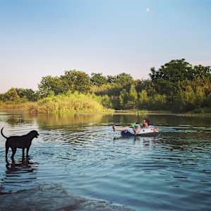 Cooling off in the river right below the cabin.
