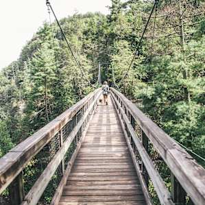 Suspension bridge and gorge hike just minutes away!