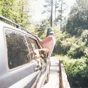 Exploring the 4x4 roads with the appropriate co-pilots.