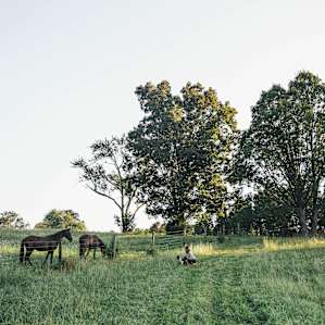 Friends on the farm