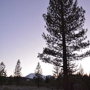 Open field near campsite