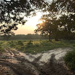 Exploring- entering the pasture.