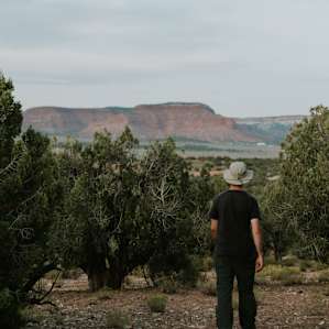 Some awesome walking just around the sites
