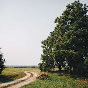 Easy Entrance to the Property