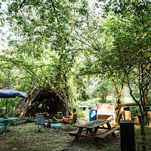 The Fort