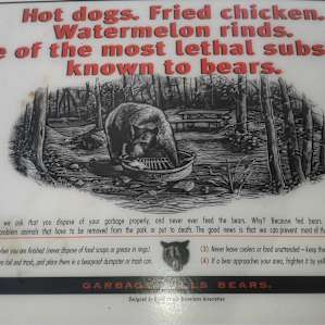 Don't Feed the Bears! If your lucky , you will see one.
