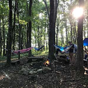So many great trees around the fire pit for hammocking at the end of a day of hiking.