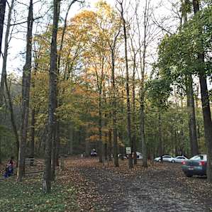 Overall view of Campground. It was a busier day, but still relatively quiet.