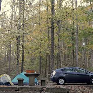 Campsite with tent pad (plenty of room for two tents) and picnic table.