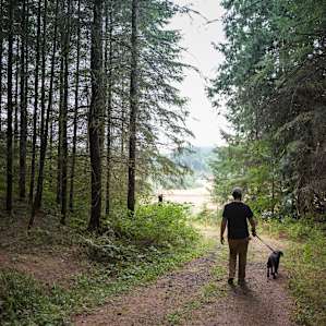 We took a walk up the hill through the forest.