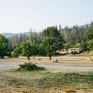 Trinity River Resort and RV park