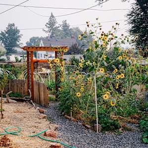 Enter through the gates and into the awesome garden