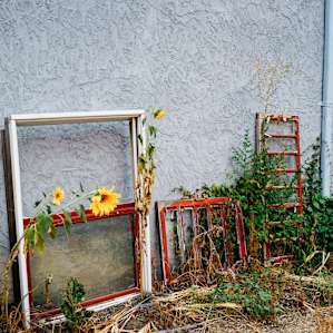 Garden Getaway