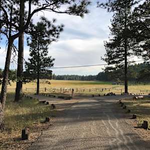 Wilderness awaits in Laguna Meadow
