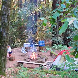 Mossy Bench Camp