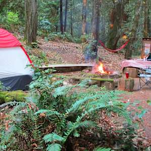 Mossy Bench Camp