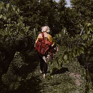 people vineyard camper